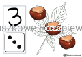 Kolorowe listki+karty.png