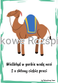 19.png