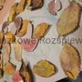 IMG_20211007_100915.jpg