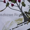 IMG_20230316_112920.jpg