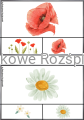 Plan pracy maj (1).png