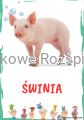 298.png