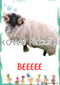 309.png