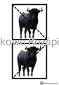 42.png