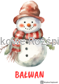 moduł V.png