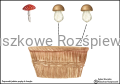 Zocha w lesie.png